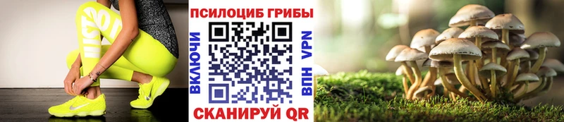 Галлюциногенные грибы мухоморы  где найти   Новоузенск 